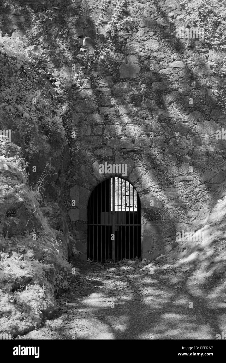 Ingresso sul lato di un vecchio europeo castello medievale. Utilizzate il filtro a raggi infrarossi. Foto Stock