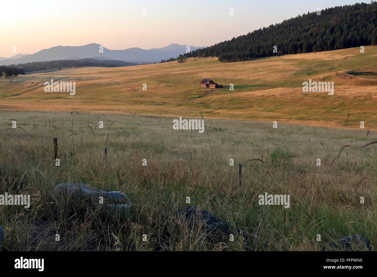 Paesaggio di Colorado con il vecchio abbandonato capanna di legno. Squaw pass road vicino a Evergreen, Colorado Foto Stock