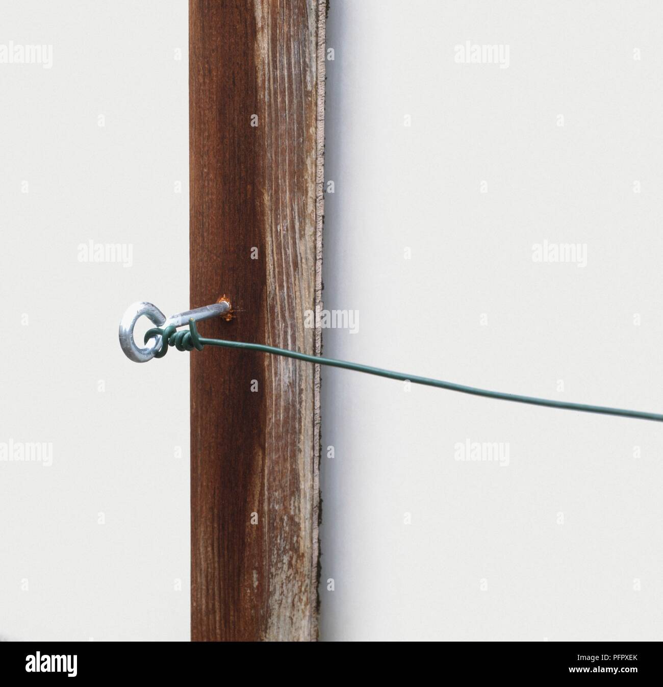 Filo verde collegato saldamente al gancio di occhio sul palo di legno Foto Stock