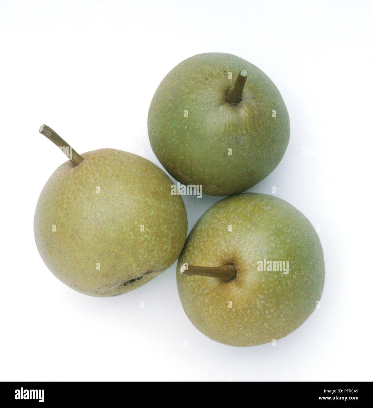 Pyrus communis " Josephine de Malines' (Josephine de Malines pere), tre pere Foto Stock