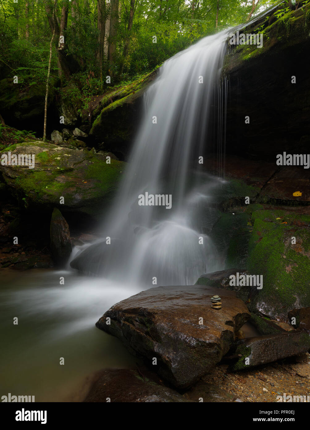 Otter Falls, sette demoni, North Carolina - Un lussureggiante verde cascata di muschio con un incredibile cascata in sette demoni, North Carolina. Foto Stock