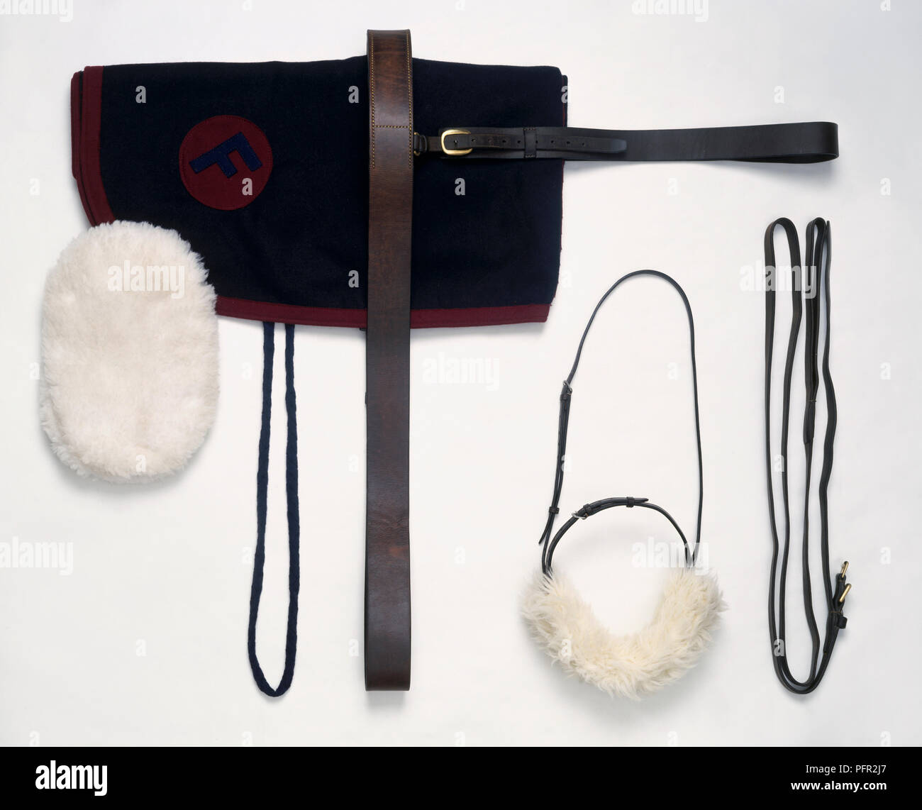 Cavallo redini, briglia con pelle di montone noseband, sella pad, il sottopancia annuncio di montone toelettatura del MIT Foto Stock