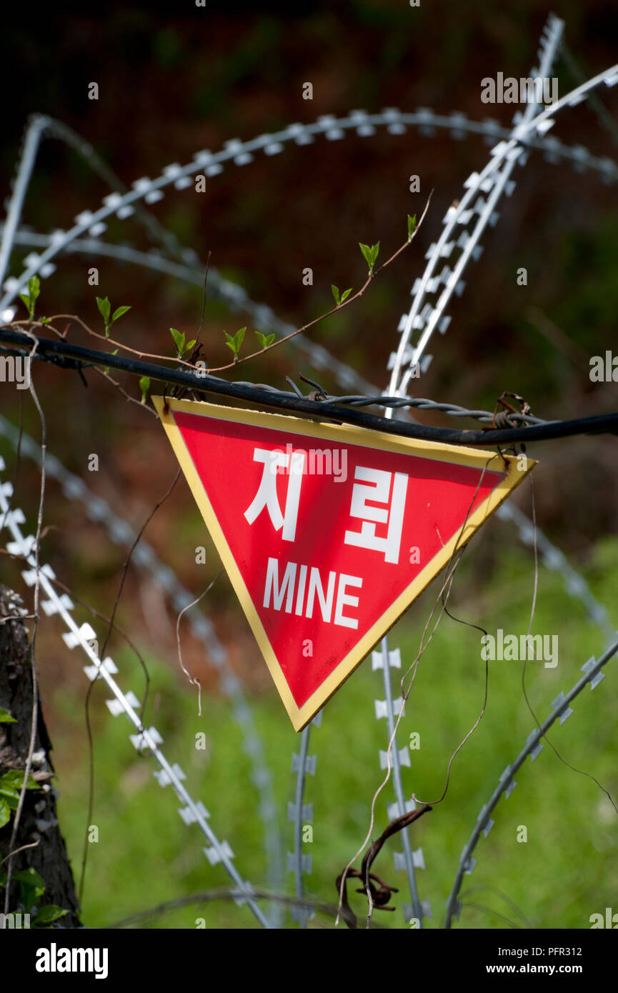Corea del Sud, Seoul, zona demilitarizzata (DMZ), il filo spinato sul bordo del campo minato, close-up Foto Stock
