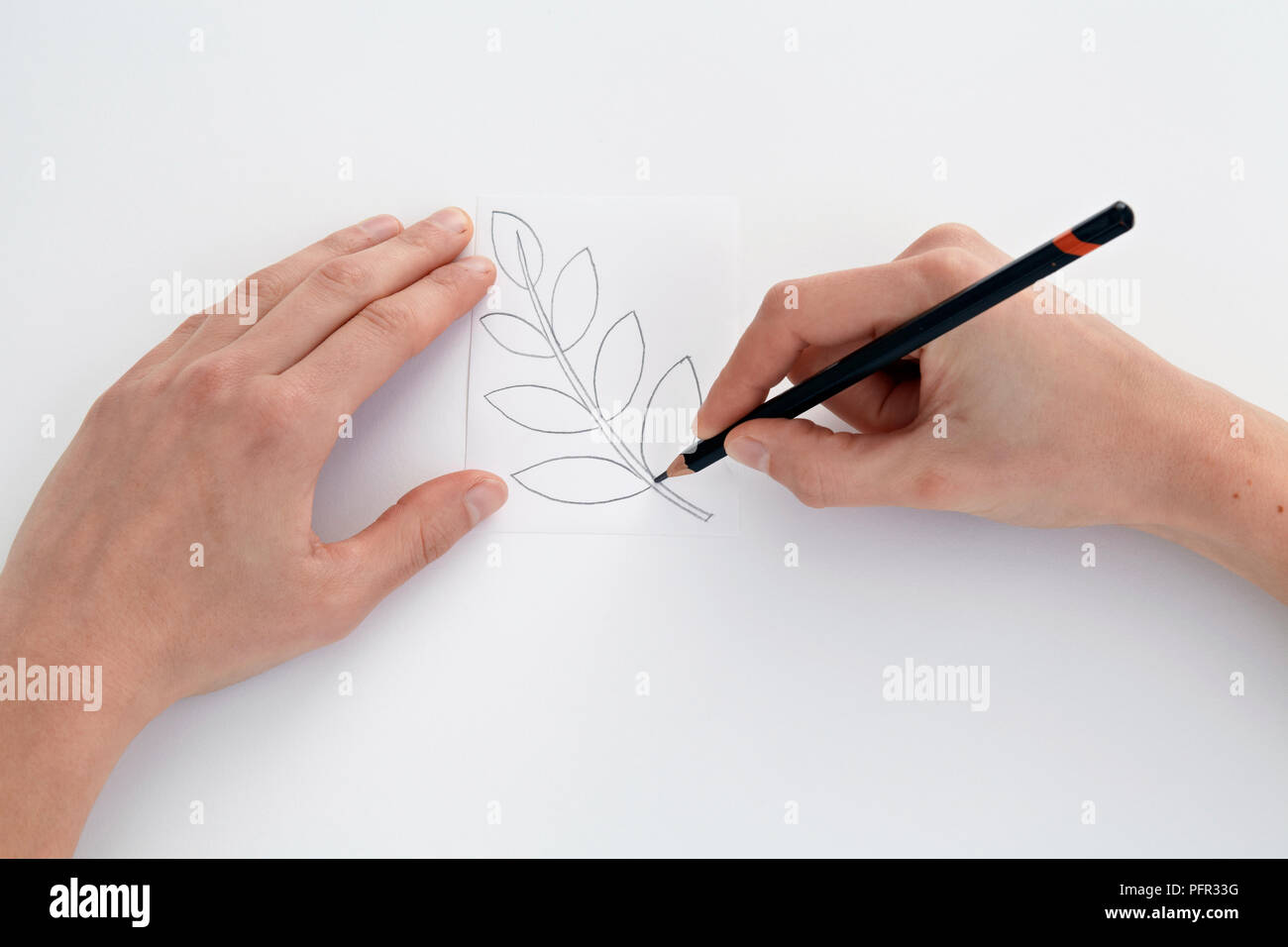 Foglia di disegno disegno su carta, per essere utilizzato per il lino di taglio o di lino la stampa Foto Stock