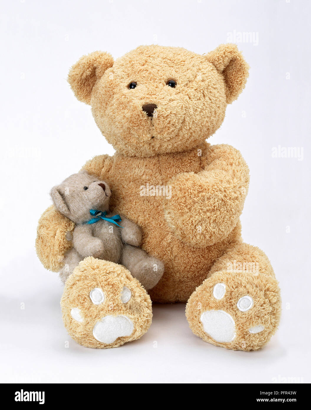 Teddy bears Foto Stock