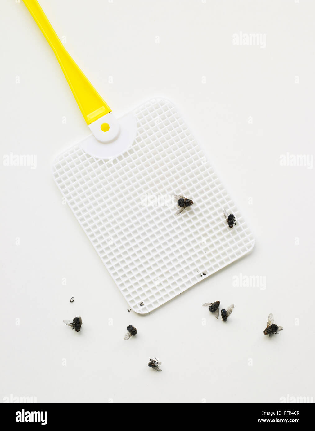 Mosche morte e flyswatter in plastica Foto Stock