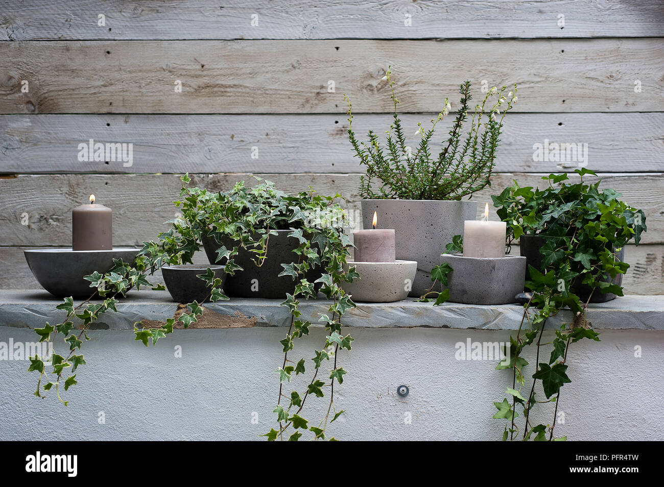 Candele e piante rampicanti in calcestruzzo pentole disposte sulla mensola Foto Stock