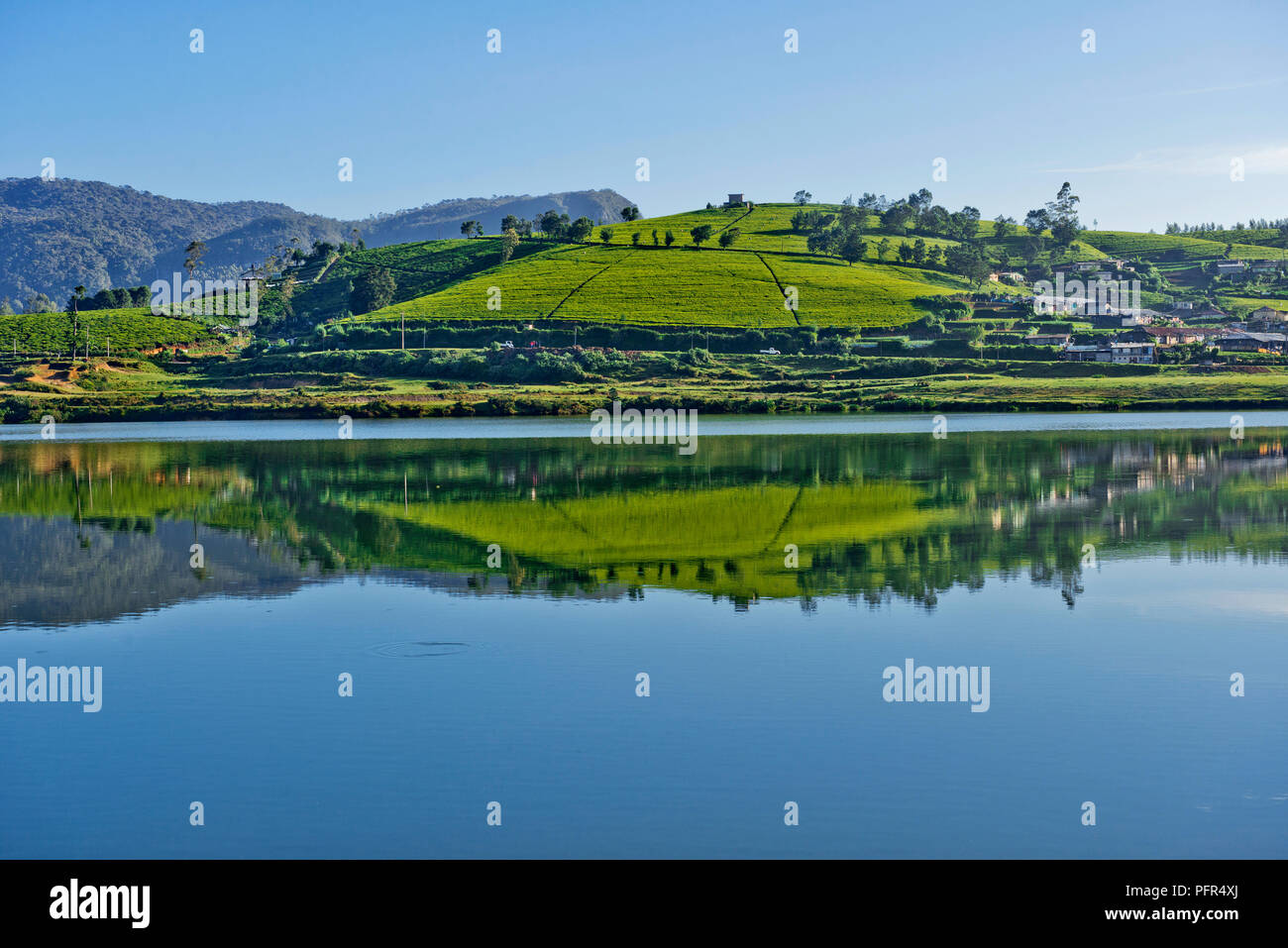 Sri Lanka, provincia centrale, Nuwara Eliya, Gregorio lago, vista lago e montagna in background Foto Stock