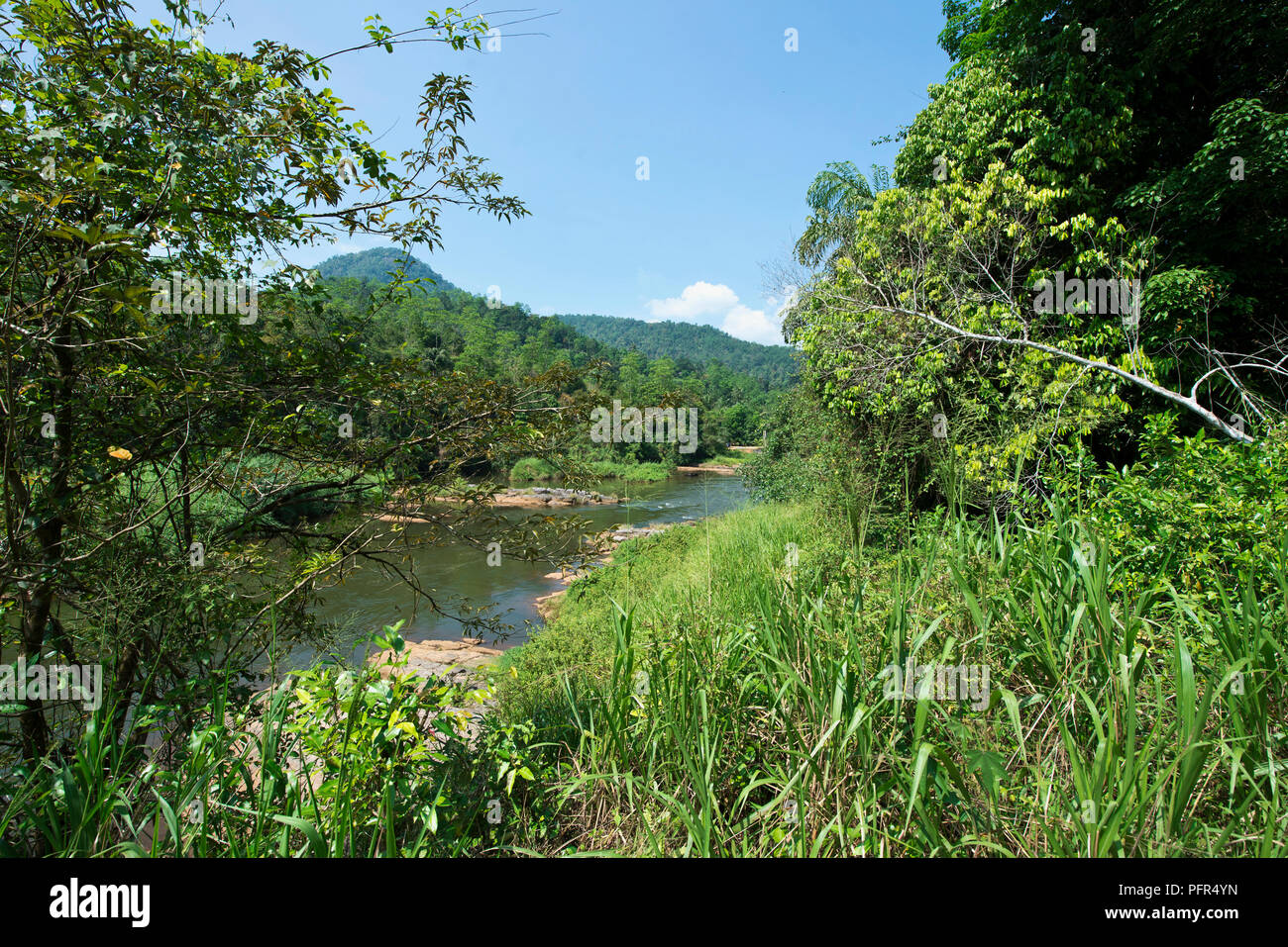 Sri Lanka, Sabaragamuwa provincia, vicino Kitulgala, Fiume Kelani, dove le scene del film Il Ponte sul Fiume Kwai sono state filmate Foto Stock