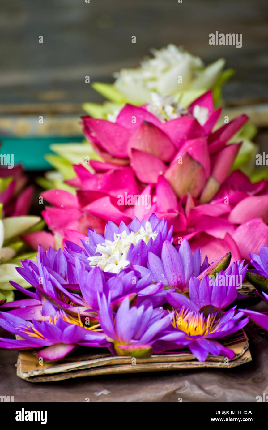 Sri Lanka, provincia centrale, Kandy, fiori per offrire Foto Stock