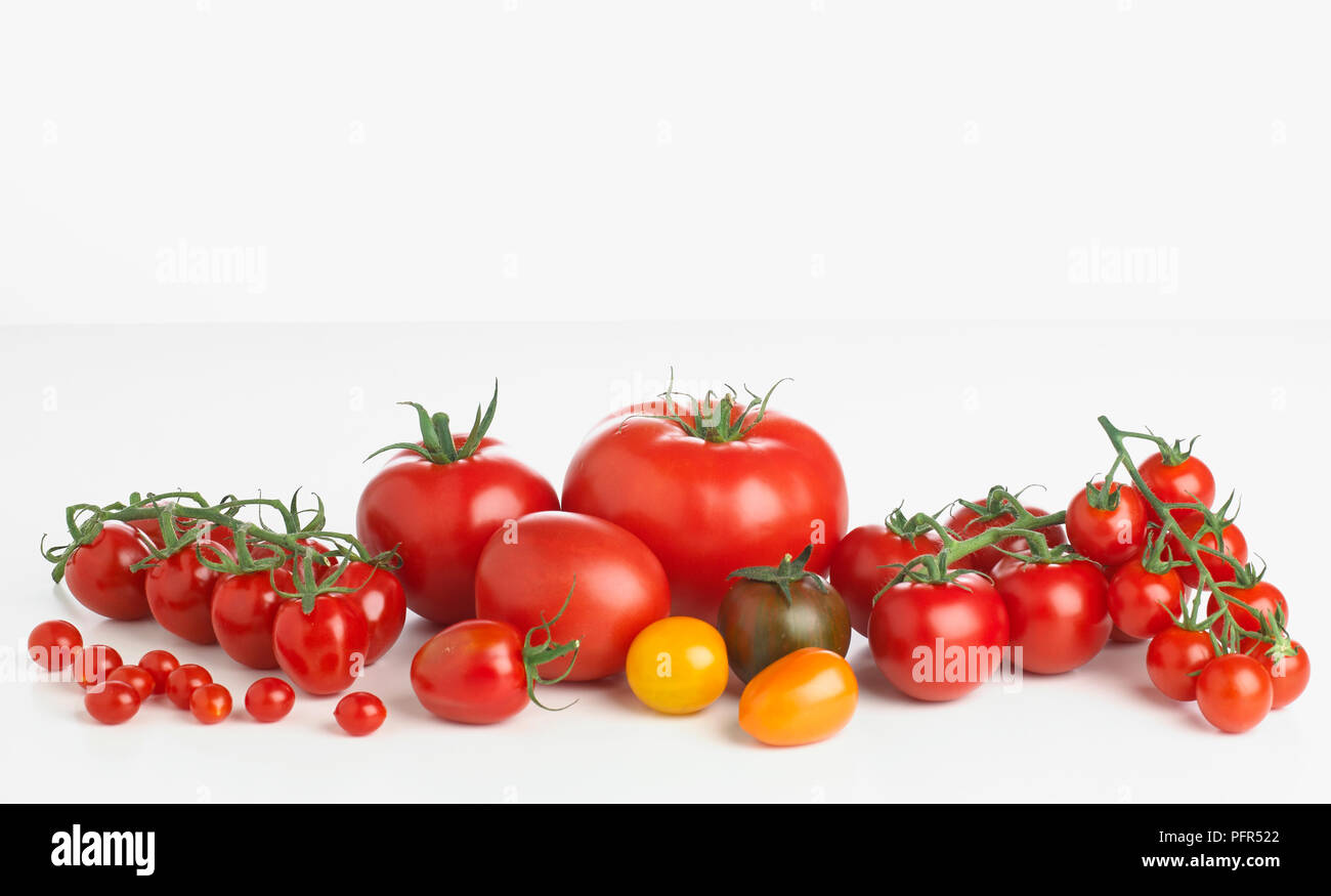 Selezione di pomodori diversi Foto Stock