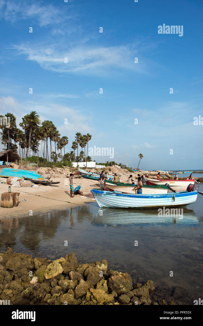 Sri Lanka, Provincia del Nord Est, Jaffna Point Pedro, pescatori con le barche dei pescatori ormeggiate sulla spiaggia Foto Stock