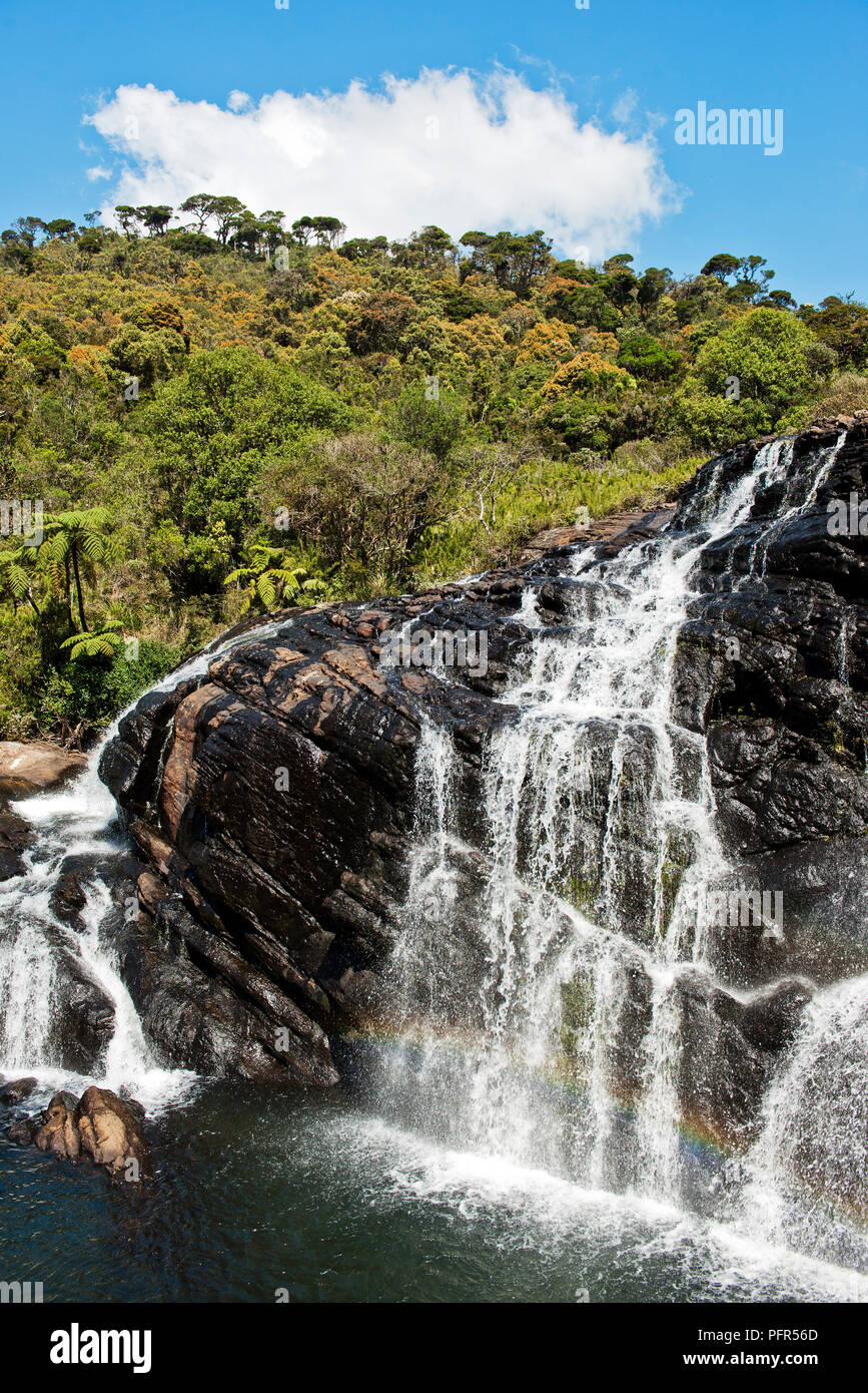 Sri Lanka, provincia di Uva, Nuwara Eliya, Horton Plains National Park, vista del panettiere cade Foto Stock