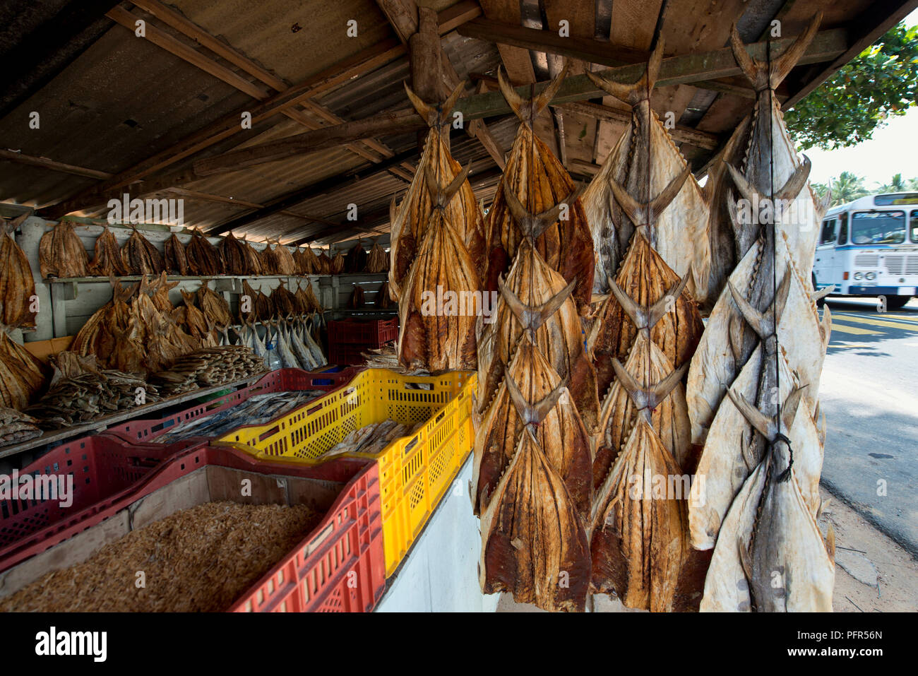 Sri Lanka, provincia occidentale, Beruwala, pesci secchi alla pressione di stallo Foto Stock