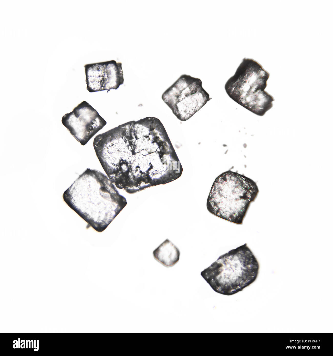 Cristalli di quello bianco cristallizzato suger come visto attraverso un campo di luce microscopio. Foto Stock