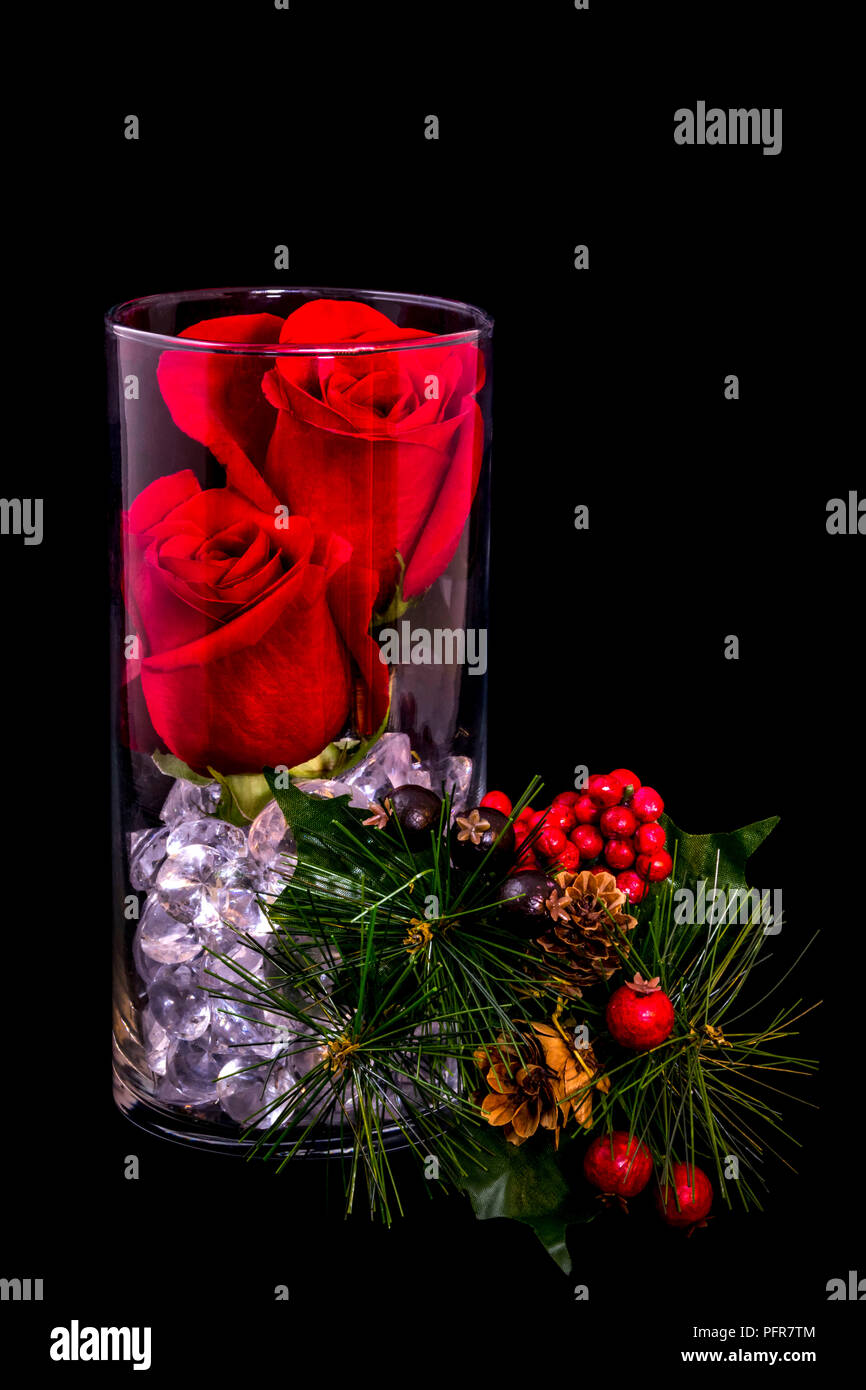 Due rose rosse in un vaso con perline di vetro, pino pigne e bacche con sfondo nero Foto Stock