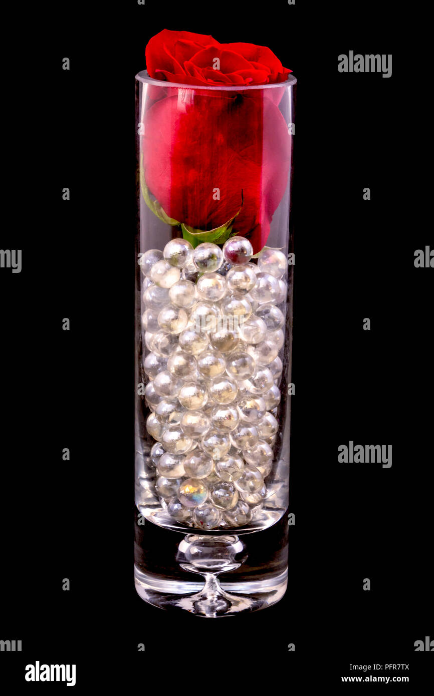Red Rose in vaso con perle di vetro su sfondo nero Foto Stock