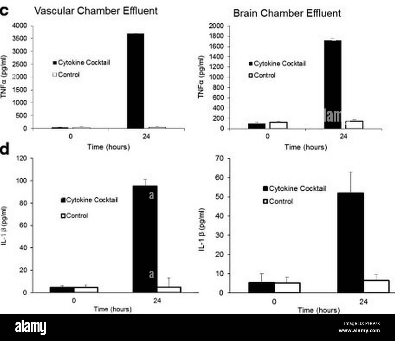 Camera di cervello con e senza 24 ore di esposizione a 100 μg/ml LPS o cocktail di citochine di 100 ng/ml di TNF-a, IL-1β, e MCP1,2. Canali verde e rosso sono presi dallo stesso telaio. Barra di scala è 200 μm. L'unità neurovascolare è in grado di trasportare citochine infiammatorie da vascolare, al vano neuronale in risposta a stimoli infiammatori. I grafici indicano il trasporto di IL-1β e TNF-a a cellule neuronali (cervello) vano indicando una modulazione della funzione di barriera ematica del cervello in unità neurovascolare. (Immagine: credito Jacquelyn A. Marrone, Clayton M. Britt, Ronald S. Reiser Foto Stock