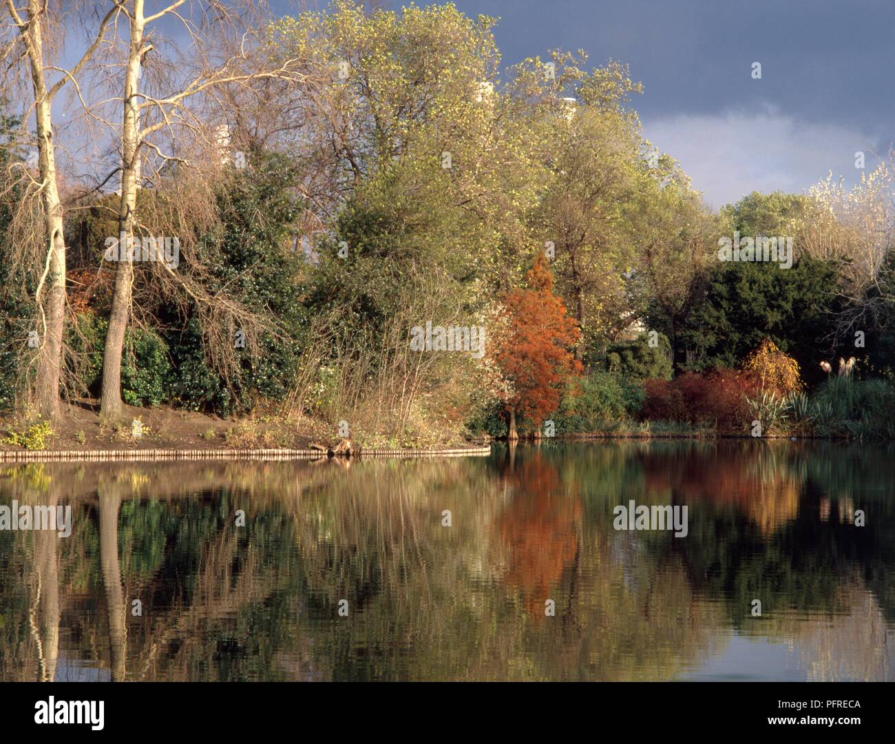 Gran Bretagna, Inghilterra, Londra, Battersea, vista del lago nel Parco di Battersea, autunno Foto Stock