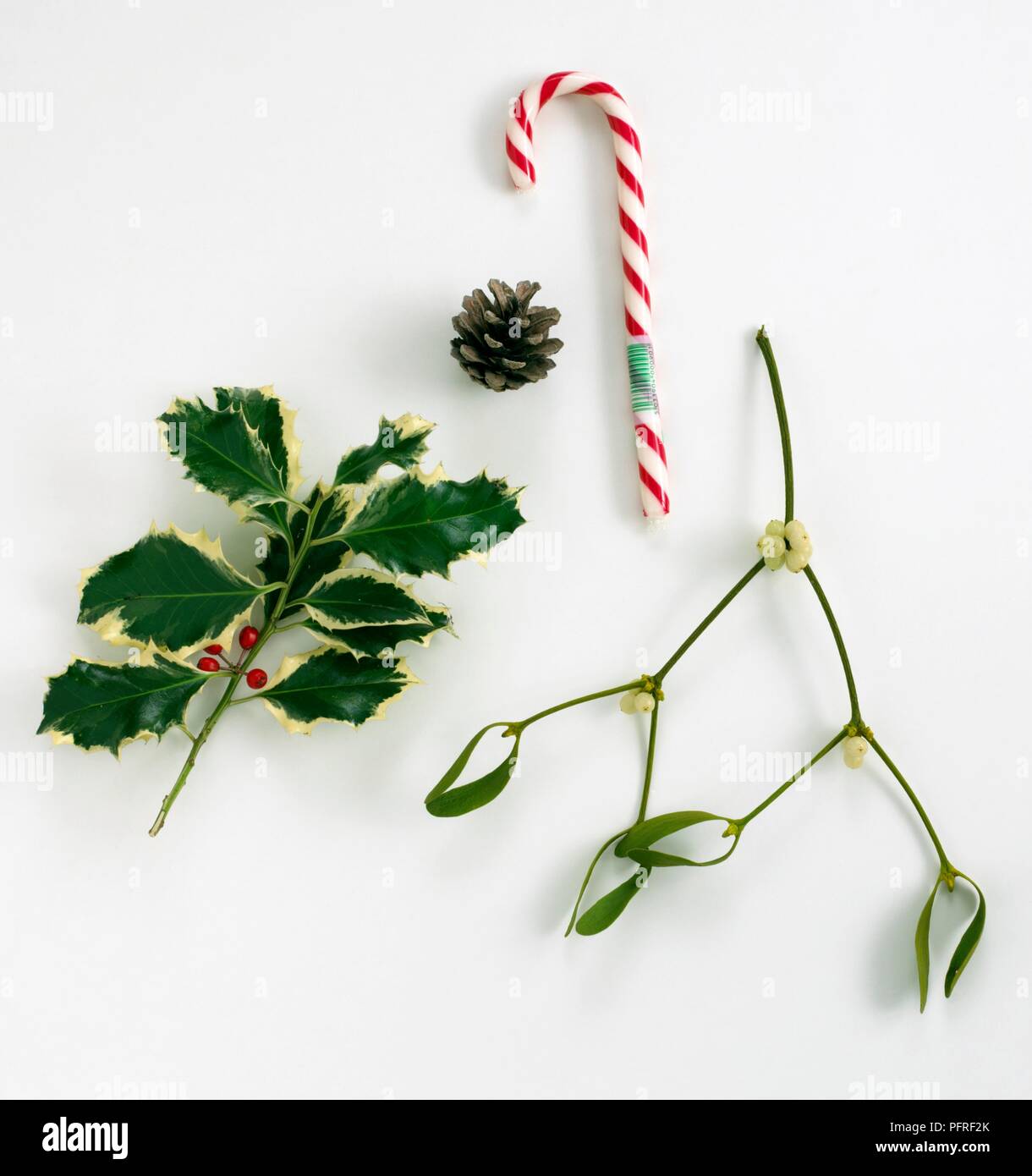 Rametto di agrifoglio vischio, pigna e candy cane Foto Stock