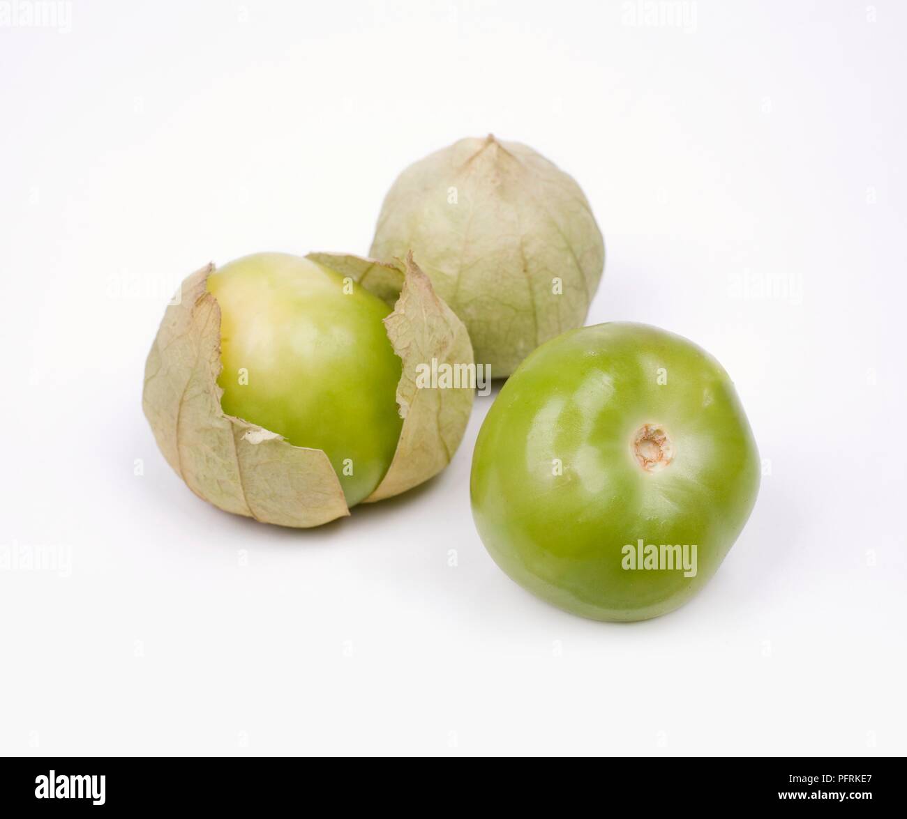 Verde philadelphica Physalis (Tomatillo) Frutta Foto Stock