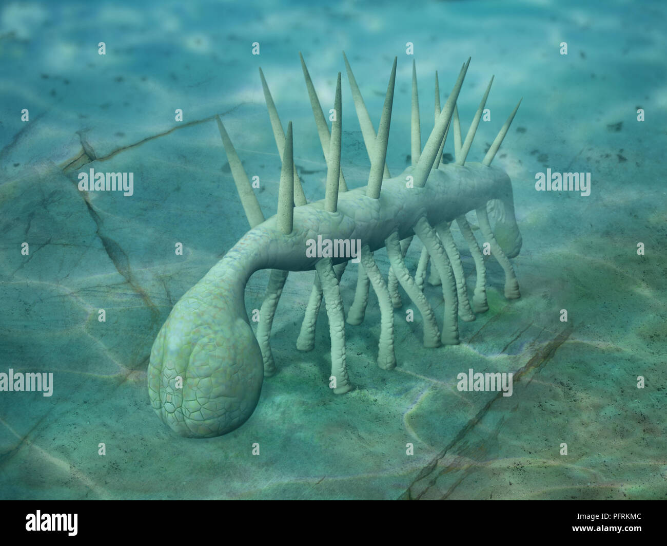 Hallucigenia, di invertebrati con testa arrotondata in corrispondenza di una estremità e lunga coda carnosa, Cambrian ser Foto Stock