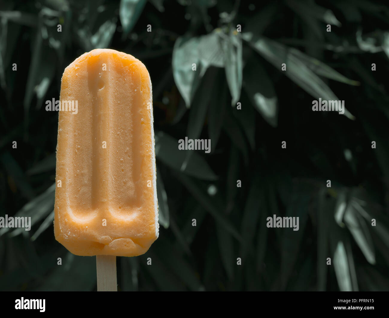 Giallo congelati ghiaccioli Ice Pop sul periodo estivo e sfondo ad albero Foto Stock
