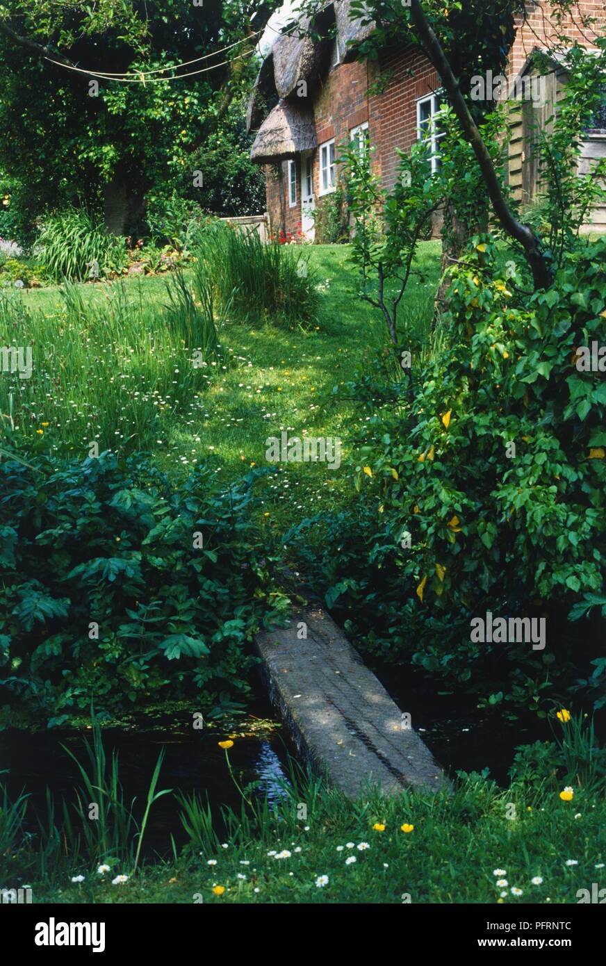 Un cottage di campagna e giardino, compreso un ruscello coperto da un semplice ponte costituito da un asse di legno Foto Stock