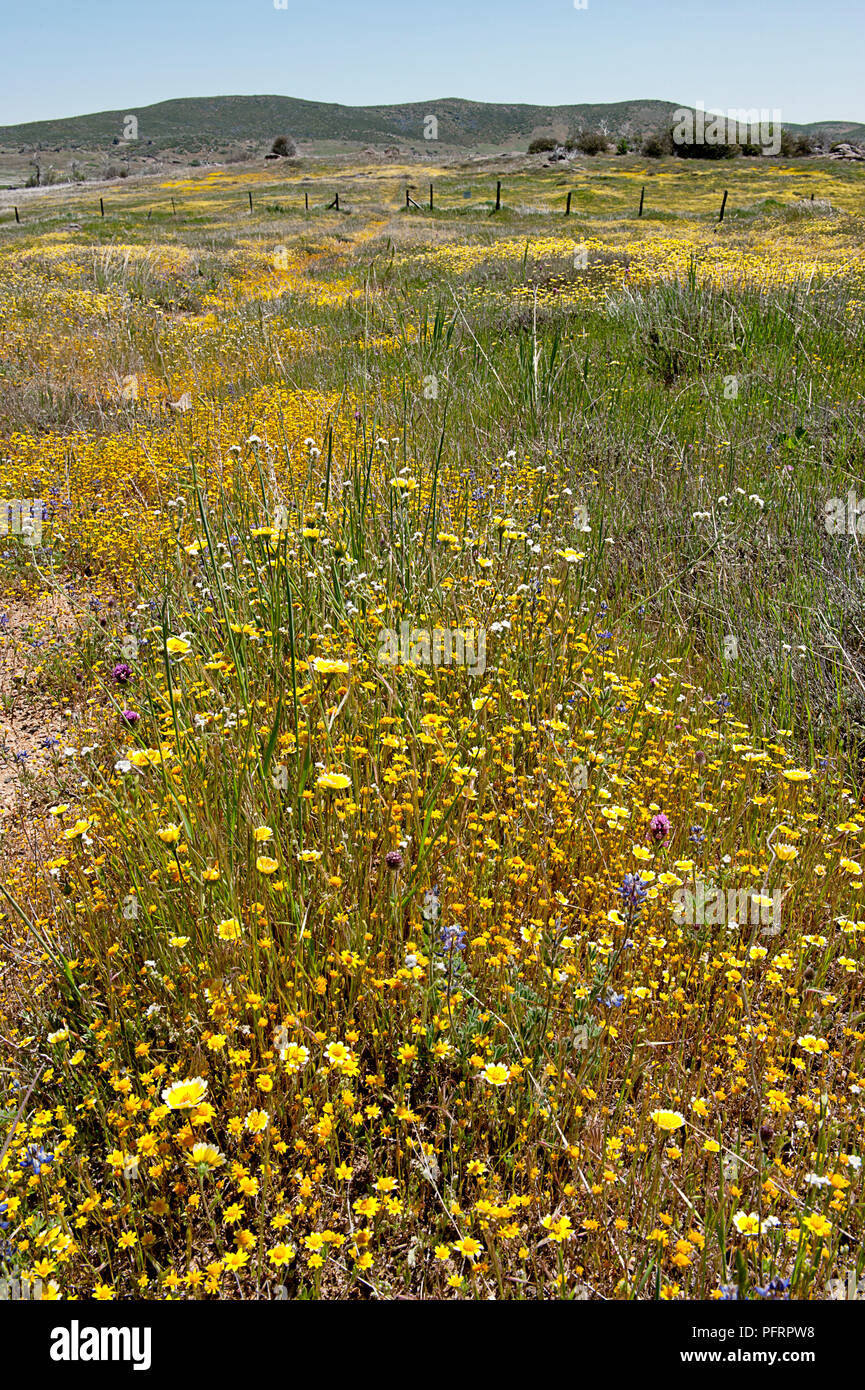 Stati Uniti, California, San Diego County, Cuyamaca Rancho parco dello stato Foto Stock