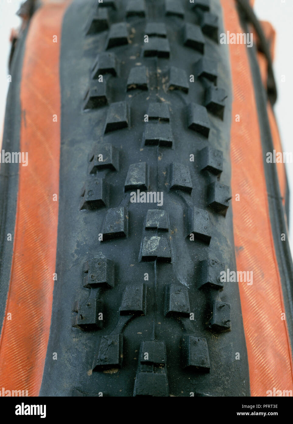 Mountain bike pneumatico con spessi off-road battistrada Foto Stock