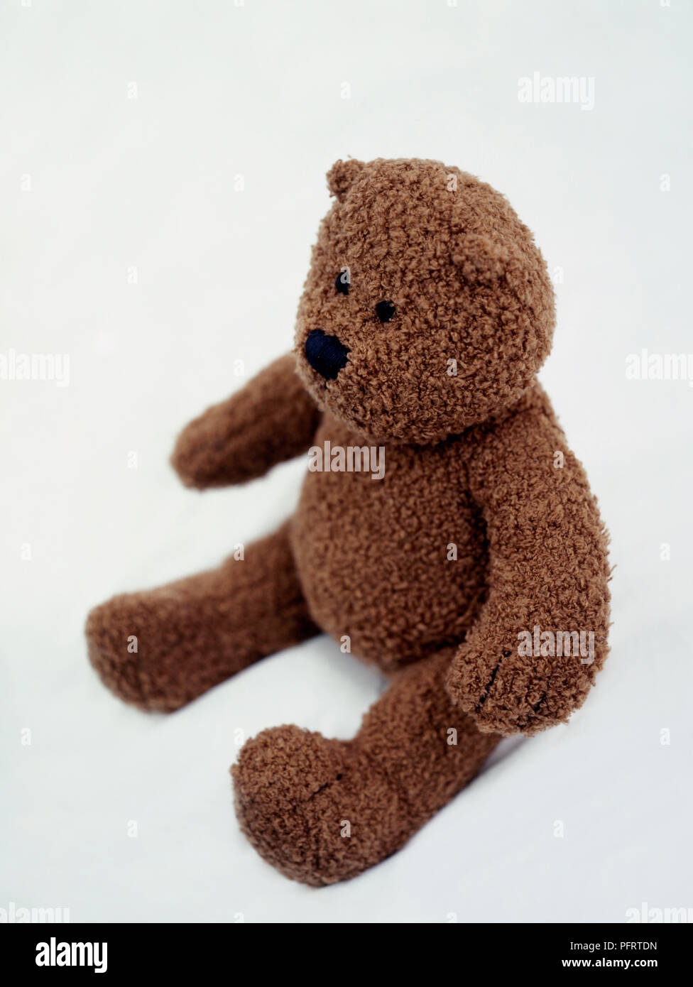 Brown orsacchiotto con pelliccia ricci seduta sul pavimento Foto Stock