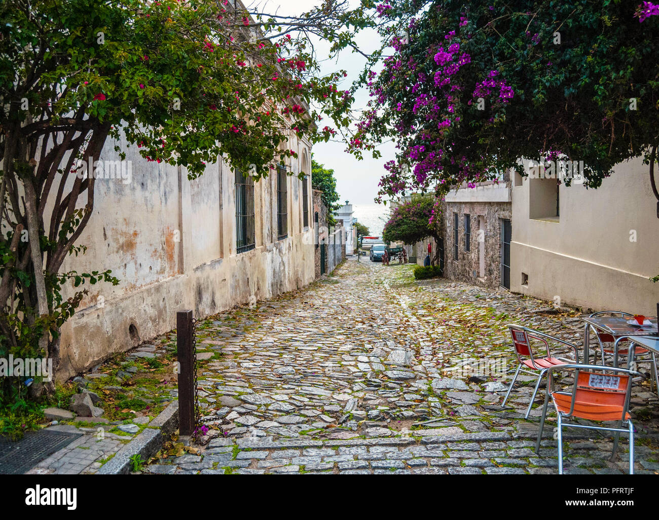 Una antica e tranquilla strada asfaltata in Colonia del Sacramento, Uruguay Foto Stock