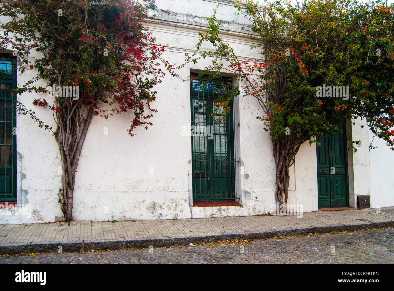 Vecchi edifici di Colonia del Sacramento, Uruguay Foto Stock