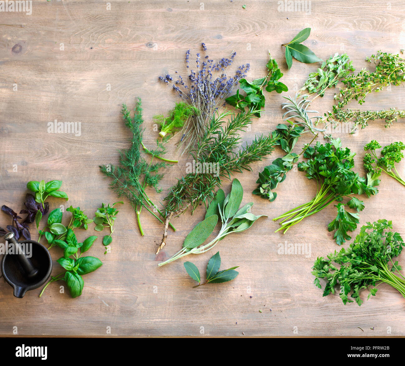 Prezzemolo Ed Erba Cipollina Fotografia Stock - Immagine Di Cibi, Erbe - Foto 6