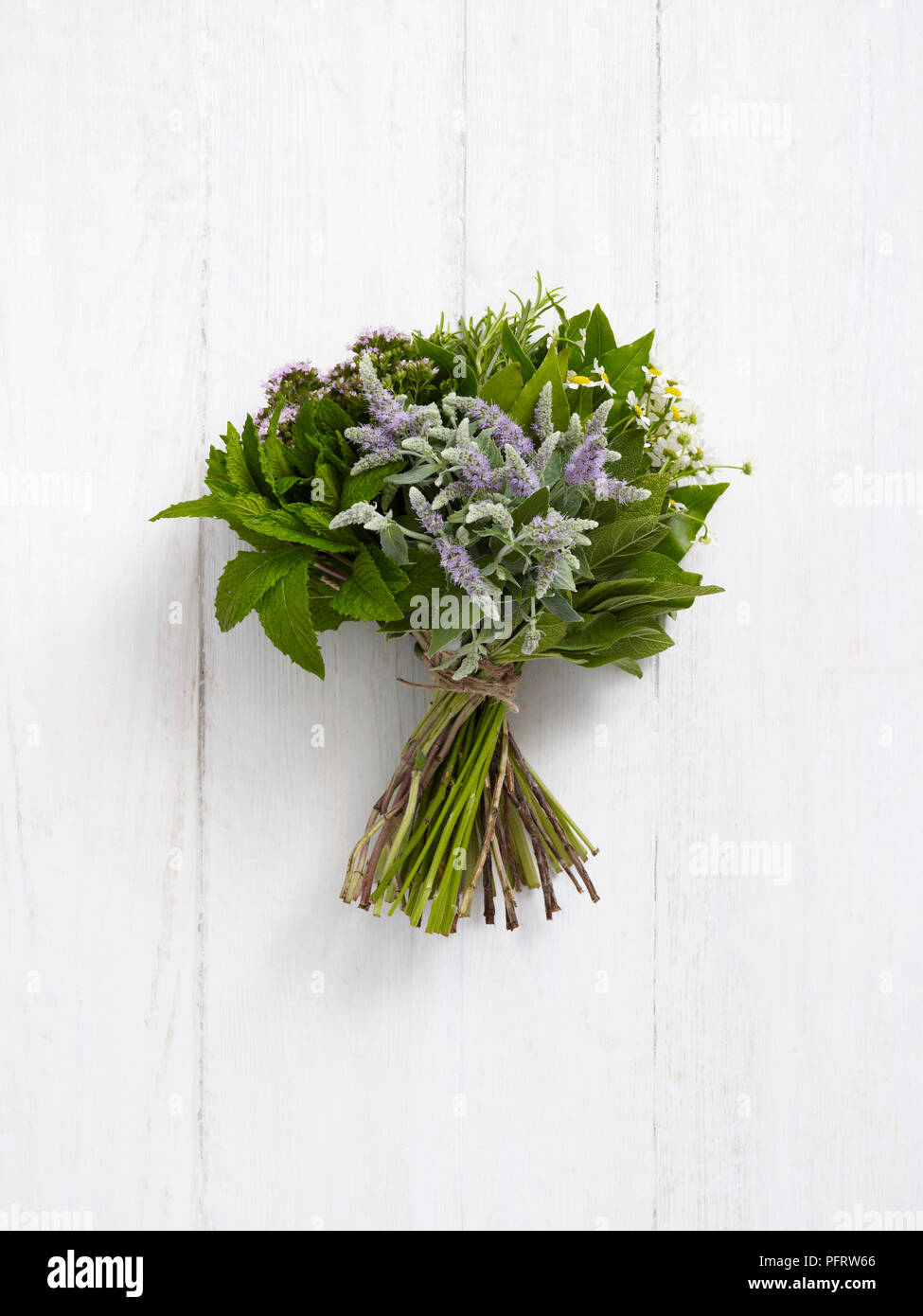 Herb posy (Herb nosegay), menta, fioritura menta, salvia, rosmarino, maggiorana, camomilla, foglie di alloro Foto Stock