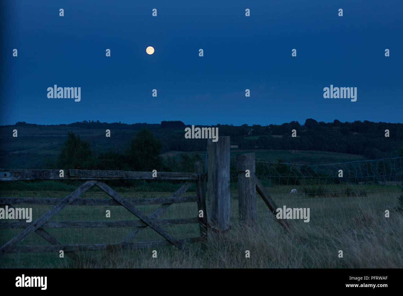 Vista dall emisfero settentrionale della luna piena al perigeo, punto più vicino alla Terra nella sua orbita, Sussex, Regno Unito, Agosto 2014 Foto Stock