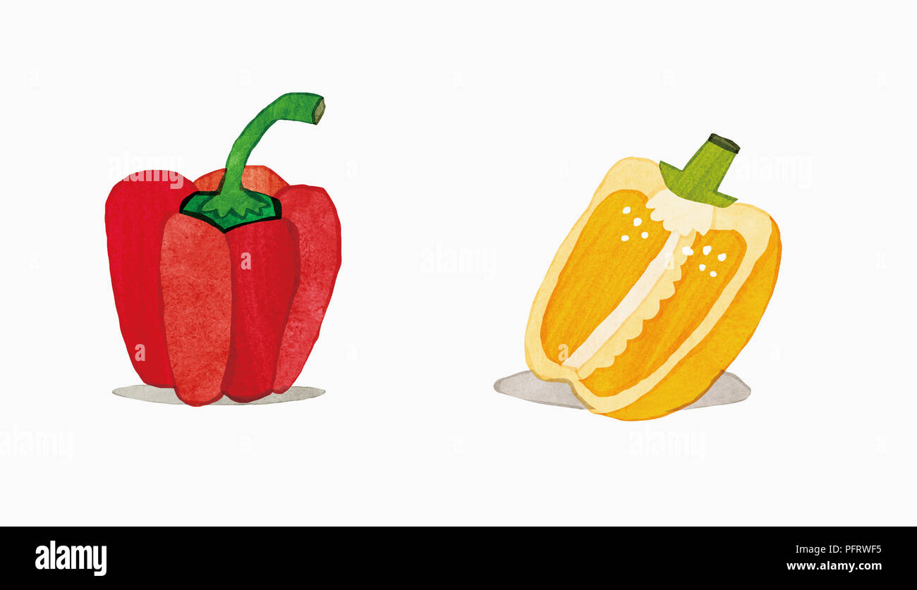 Illustrazione, il rosso e il giallo dei peperoni Foto Stock