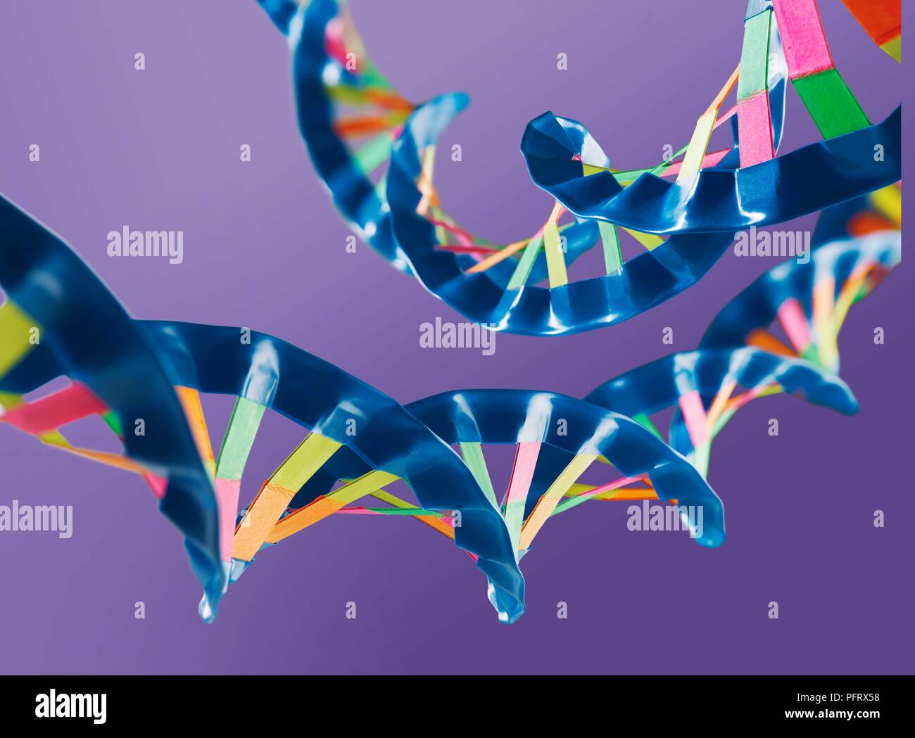 Modello di DNA esperimento mostrante un close-up del modello completato con basi colorate Foto Stock