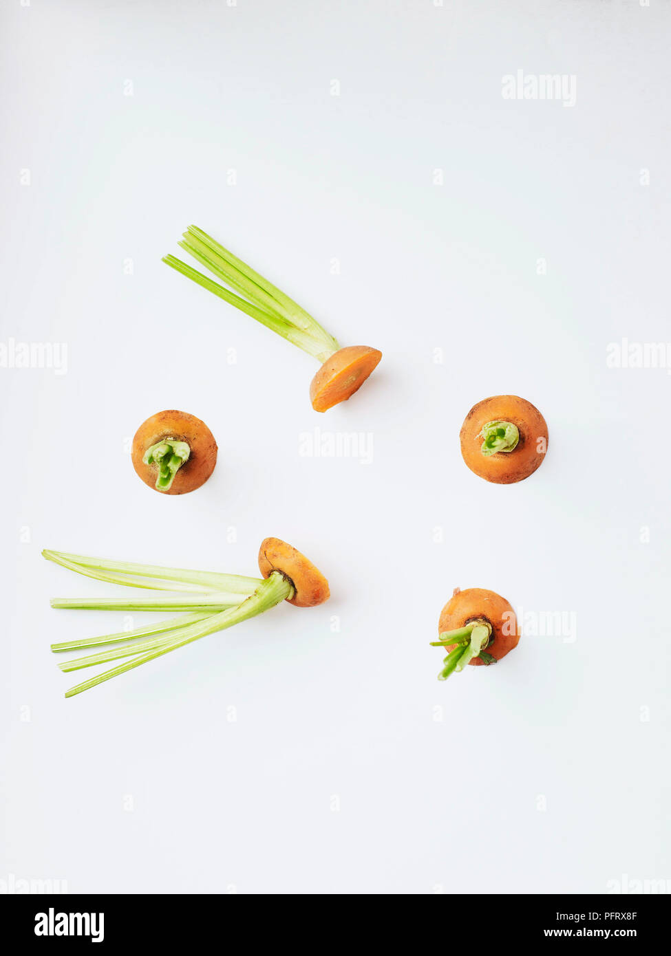 Cime di carota e foglie su sfondo bianco Foto Stock