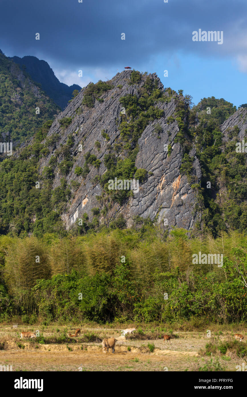 Visualizzazione di campi di fattoria e formazioni rocciose in Vang Vieng, Laos. Vang Vieng è una popolare destinazione per turismo avventura in un paesaggio carsico calcareo attraversato. Foto Stock