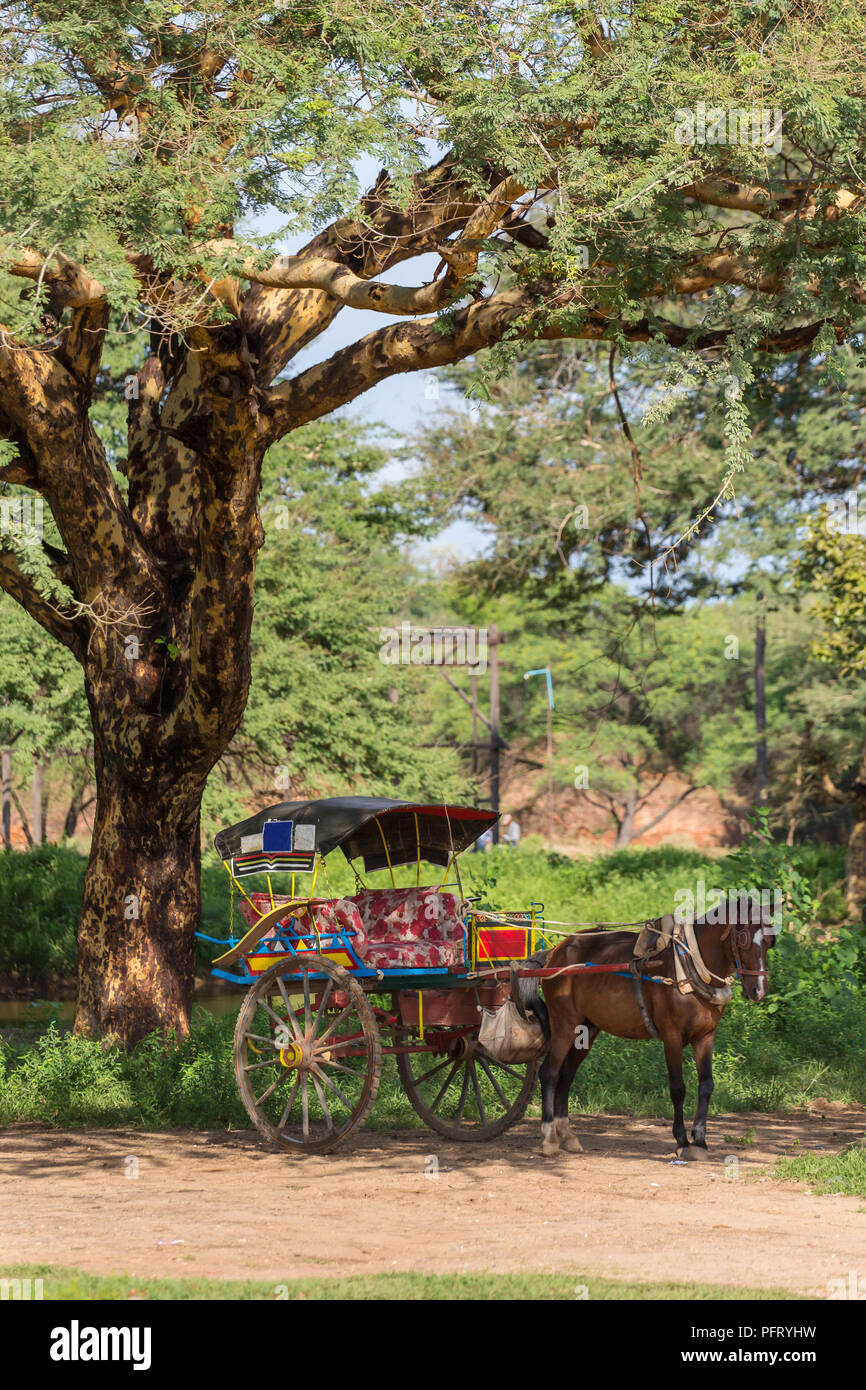 A cavallo con il carrello in attesa di turisti nell'ombra di Bagan, Myanmar. Foto Stock
