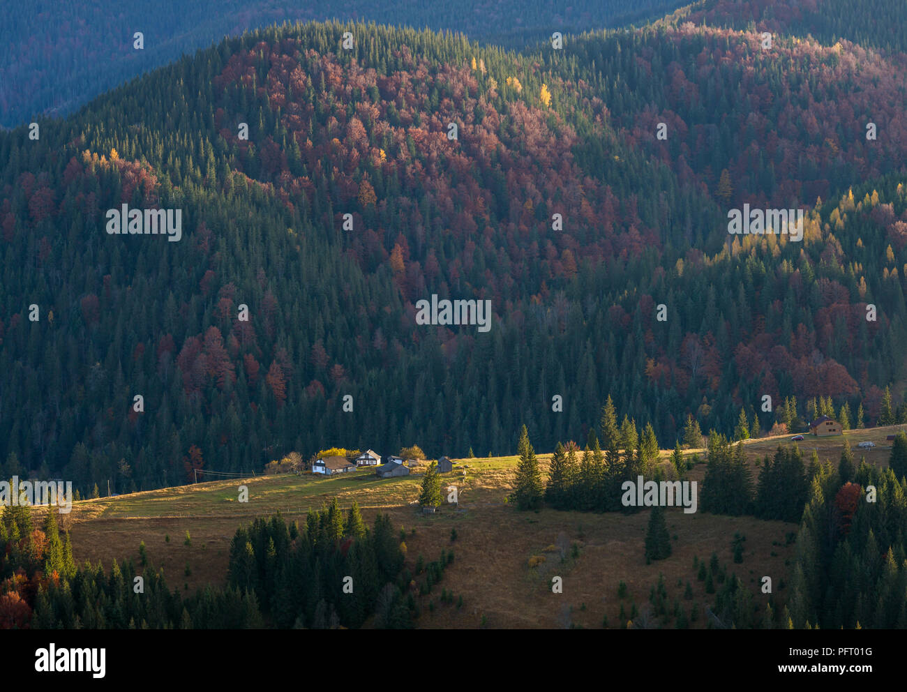 Colorato paesaggio autunnale nel villaggio di montagna. Mattinata nebbiosa nelle montagne dei Carpazi, Ucraina Foto Stock