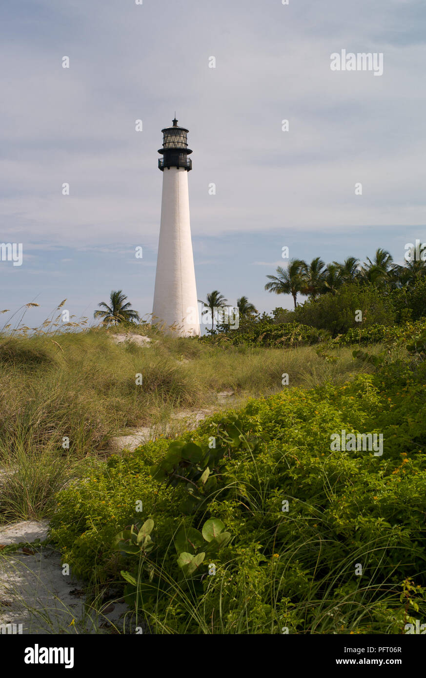 Faro nero e bianco di Cape Florida con verde paesaggio con Palme e cielo nuvoloso Foto Stock