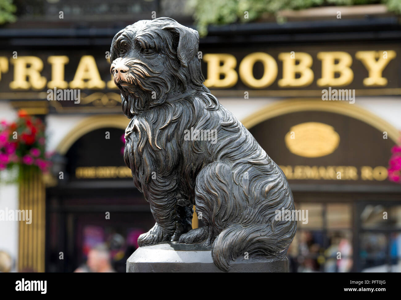 Greyfriars Bobby statua su George IV Bridge, Edimburgo, Scozia Foto Stock