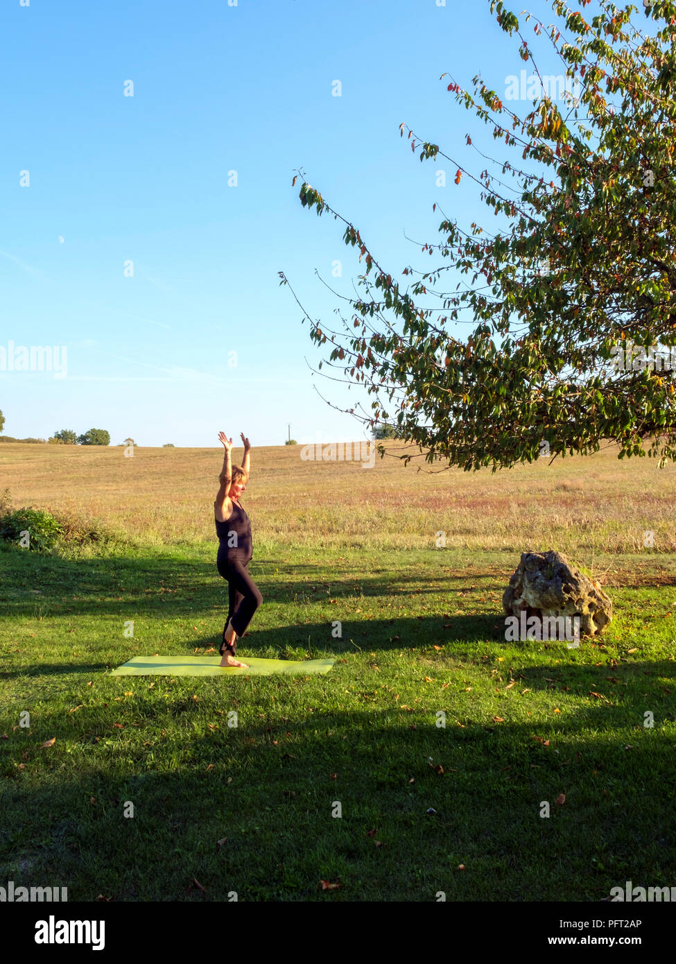 Circondato dalla campagna idilliaca campagna francese una donna matura la sua prassi posizioni di yoga in autunno bello e mite sole. La posizione dell'albero. Foto Stock