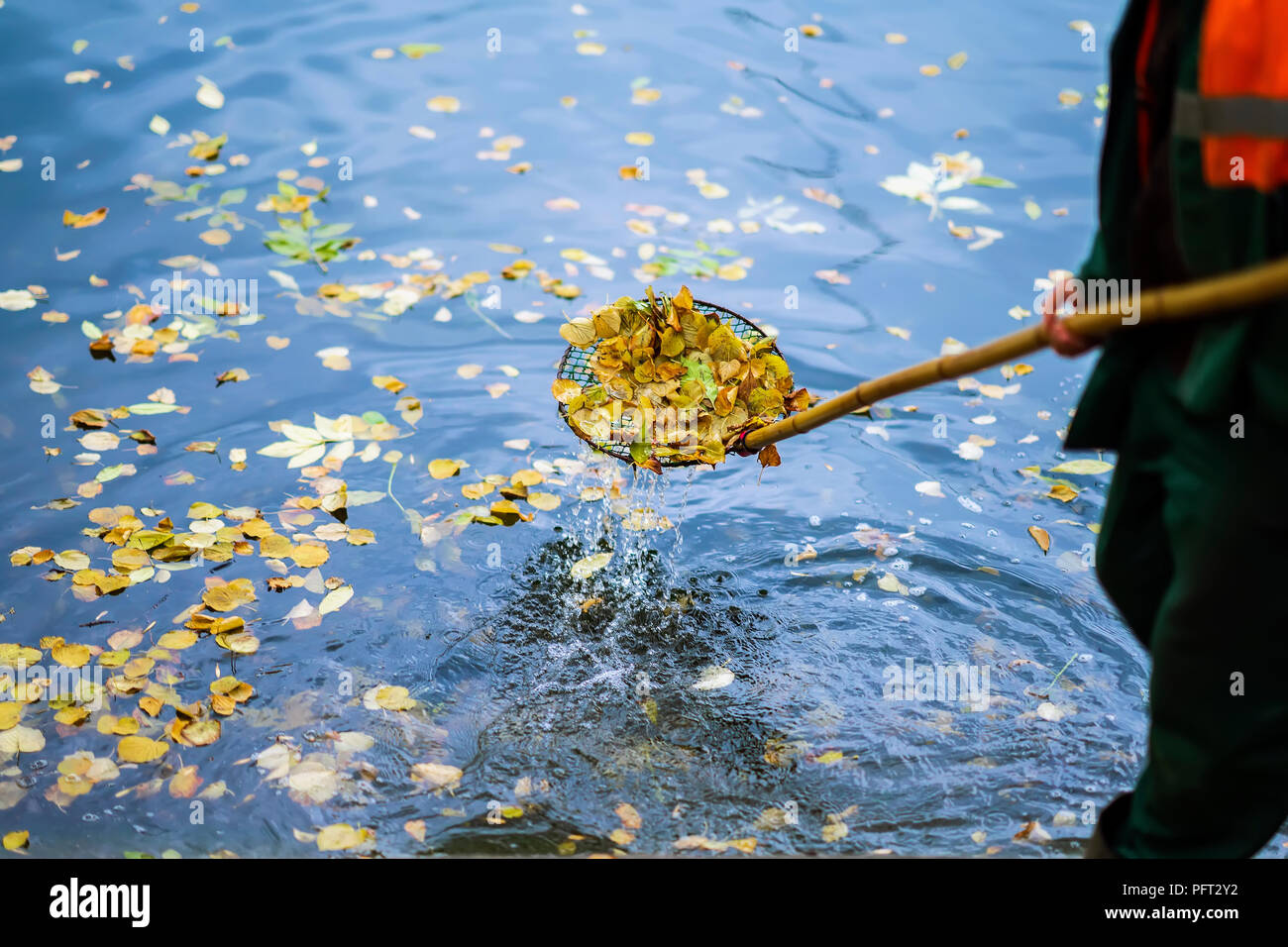 Pulizia piscina nel parco da caduta foglie con speciale maglia in autunno, opera in città all'aperto, , scena reale Foto Stock