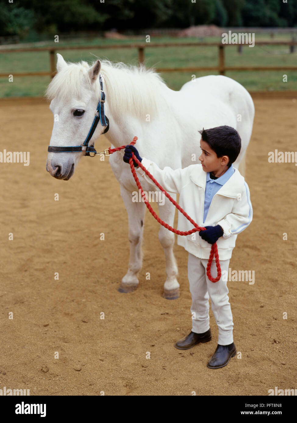 Giovane ragazzo in piedi accanto al grigio azienda pony da piombo rein Foto Stock