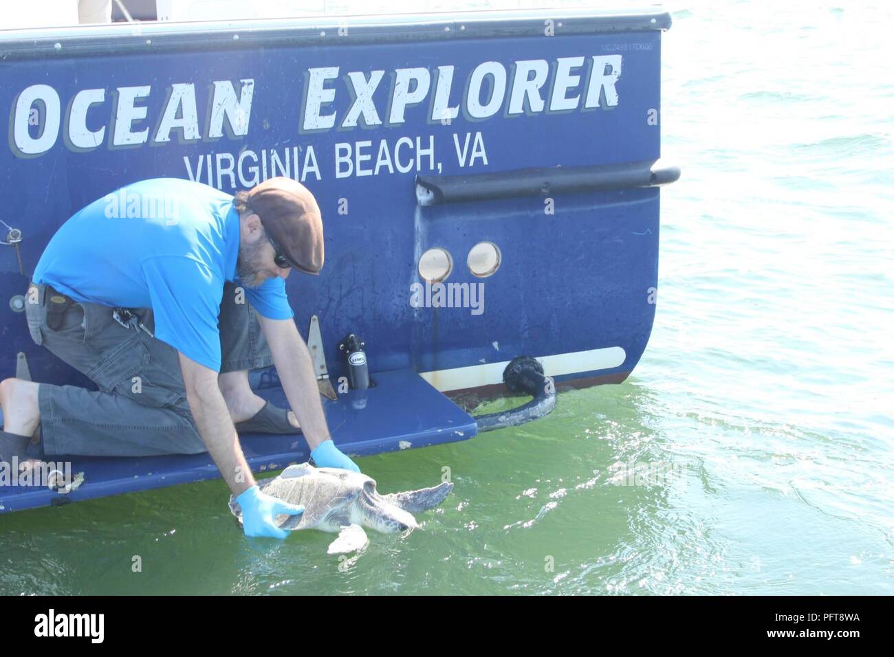 Oceano atlantico (24 maggio 2018) Scott Chappell, un biologo marino dalla Naval Facilities Engineering Command Atlantic, rilascia un tagged Kemp's ridley sea turtle torna in mare al largo della costa della Virginia Beach, Va. Il tag viene utilizzato per tenere traccia della tartaruga e dei movimenti e il rilascio è stato eseguito come parte della marina militare di un progetto di ricerca con la Virginia Aquarium e Marine Science Center. La tartaruga è stato etichettato sotto il Virginia Aquarium la cordatura accordo con National Marine Fisheries Service (NMFS), ed è coperta da NMFS sub-permettere ai sensi del U.S. Pesci e fauna selvatica del servizio di specie in via di estinzione atto Foto Stock