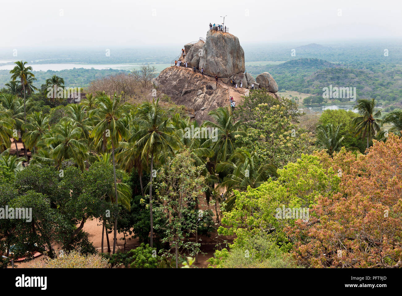 Sri Lanka, Nord provincia centrale, Anuradhapura Mihintale, la vista della montagna sacra e Palm tree Foto Stock