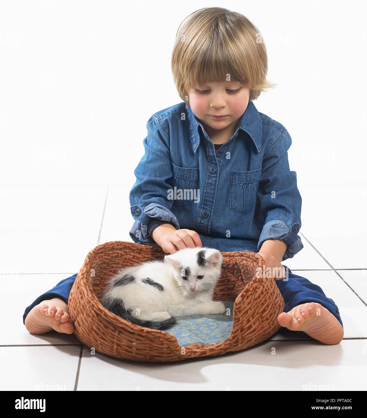 Ragazzo seduto con gattino nel cesto di pet tra le sue gambe, 3 anni Foto Stock